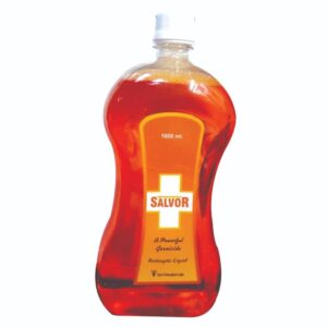 Salvor