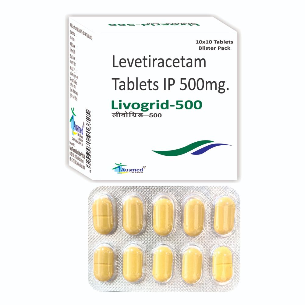 livogrid 500